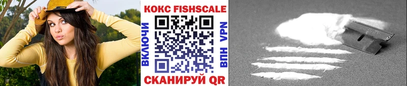 COCAIN Эквадор  купить  сайты  Медынь 