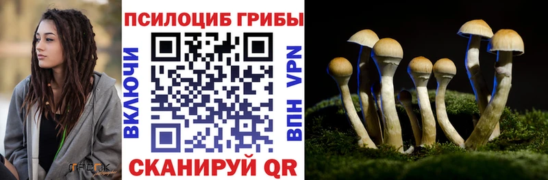 Псилоцибиновые грибы прущие грибы  где продают   Медынь 
